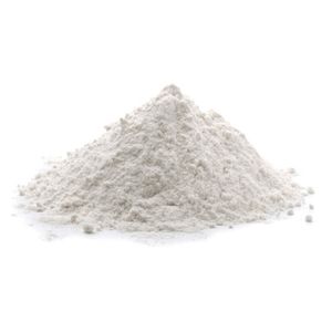 LEITE DE COCO EM PÓ TIPO 1 100g A GRANEL