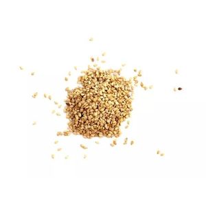 GERGELIM COM CASCA 100g A GRANEL