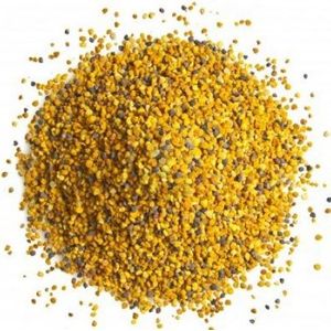 PÓLEN 100g A GRANEL