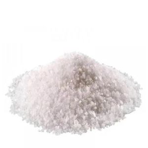 SAL MARINHO 100g A GRANEL