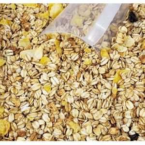 GRANOLA VITTA CROC DIET 100g A GRANEL