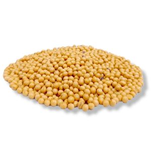 SOJA EM GRÃO 100g A GRANEL