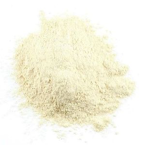 CREME DE CEBOLA 100g A GRANEL