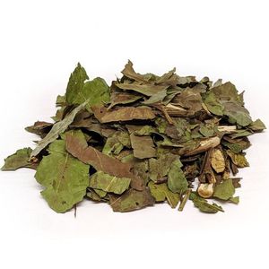CHÁ GUAÇATONGA 100g A GRANEL